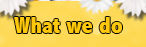 What We Do